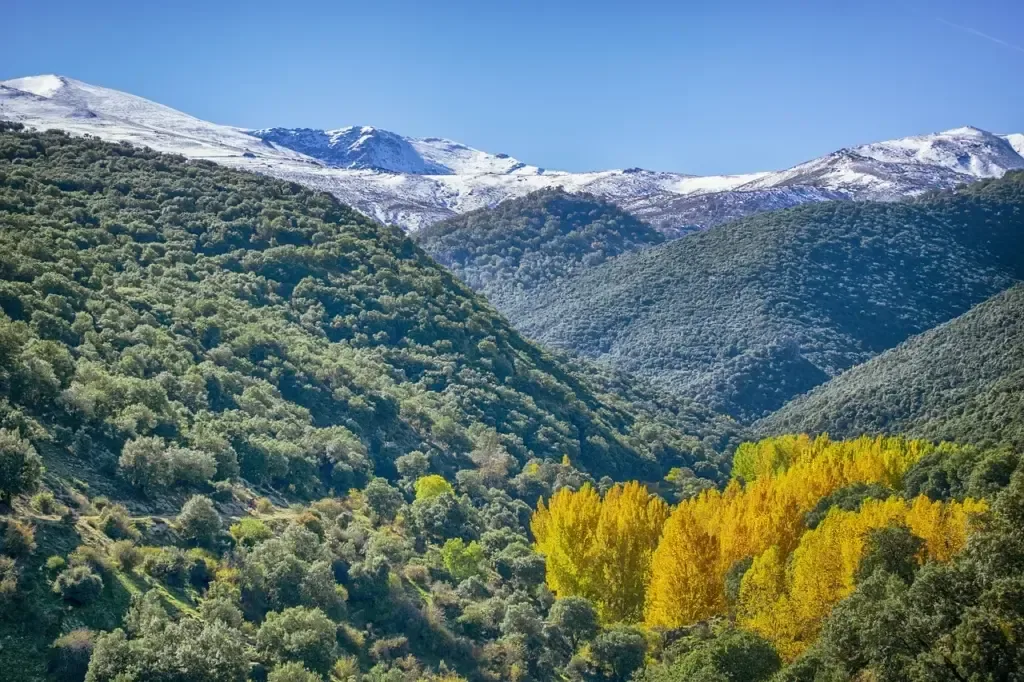 Sierra Nevada
