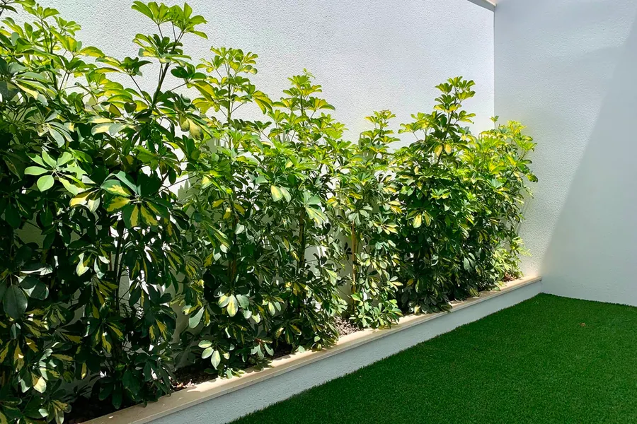 Reihenhaus 3+kk — San Javier — Foto 8